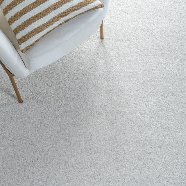 Safavieh Plain And Solid Pns320 Ivory Rug.