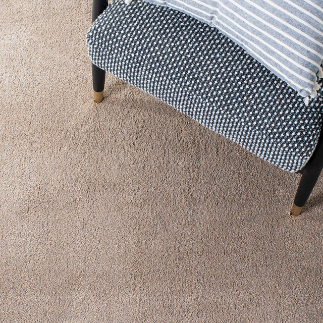 Safavieh Plain And Solid Pns320 Taupe Rug.