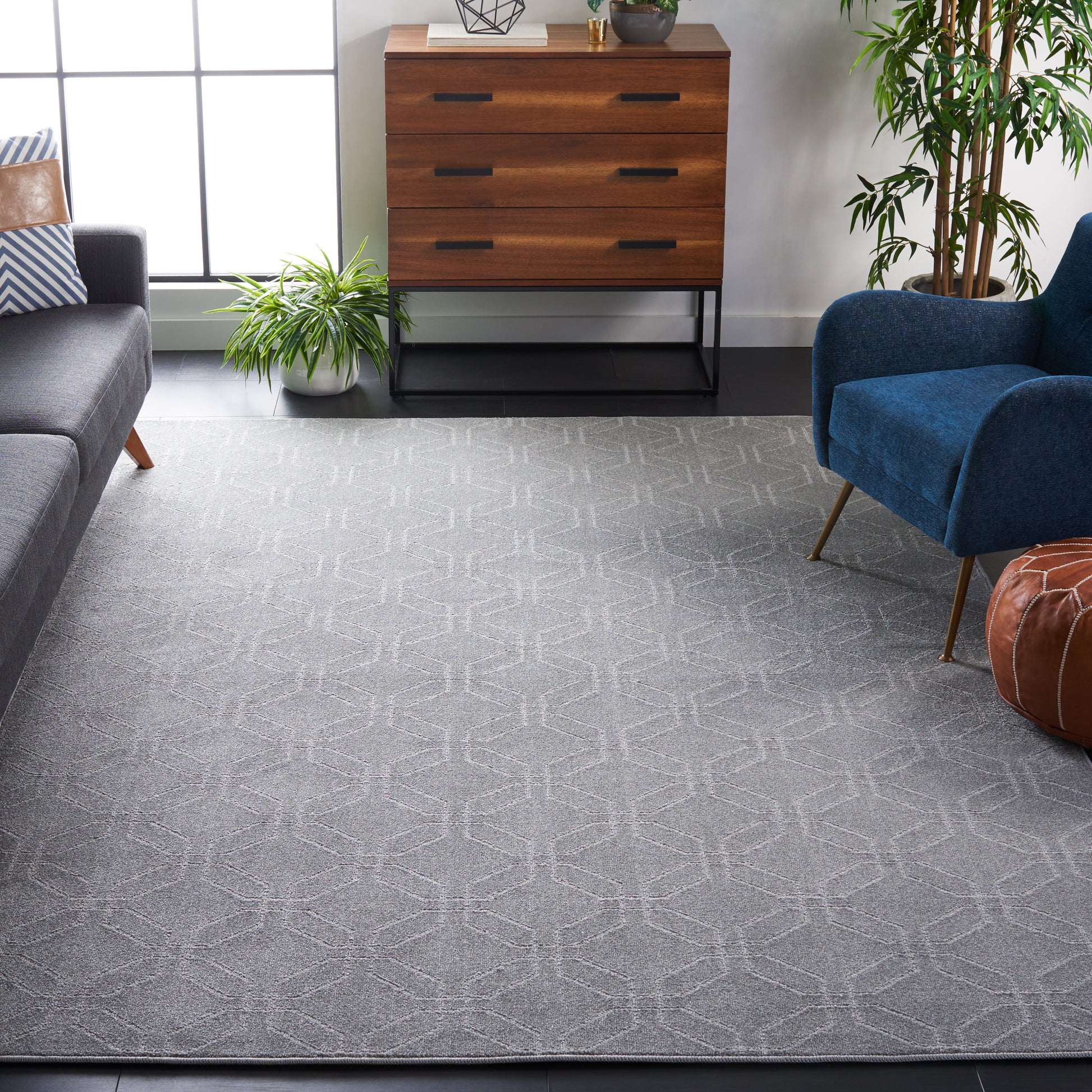 Safavieh Pattern And Solid Pns406F Grey Area Rug