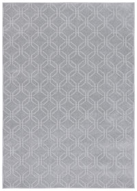 Safavieh Pattern And Solid Pns406F Grey Area Rug