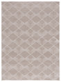 Safavieh Pattern And Solid Pns414B Beige Rug.