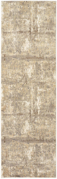 Feizy Parker 3701F Ivory/Gray Area Rug