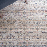 Safavieh Princeton Prn908A Ivory/Blue Rug.