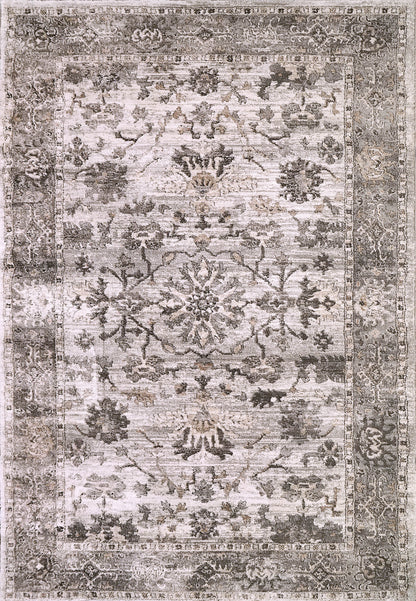 Dynamic Rugs Riley 6035 Grey/Beige Area Rug