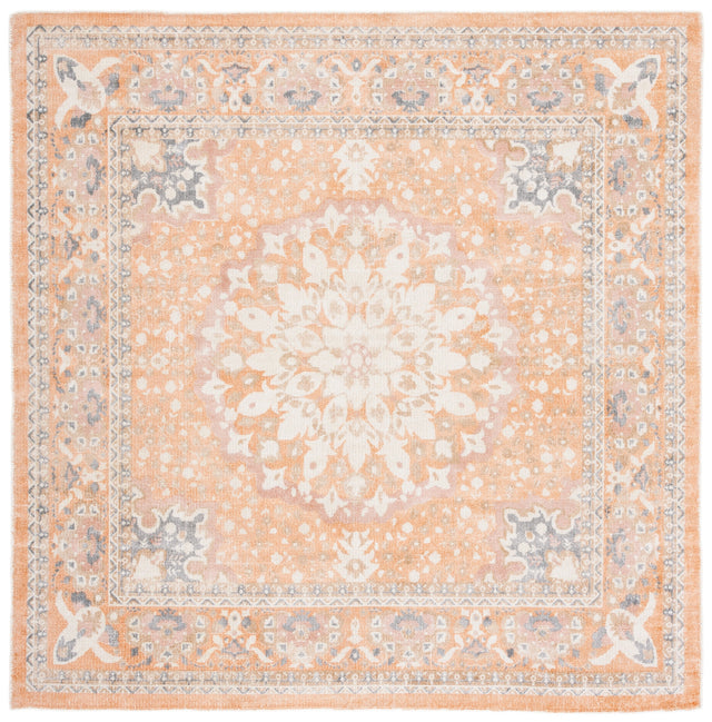 Safavieh Restoration Vintage Rvt710P Rust/Orange Rugs.