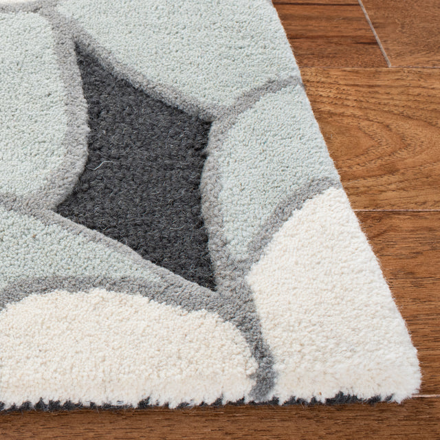 Safavieh Safavieh Kids Sfk923G Charcoal/Ivory Rugs.