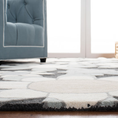 Safavieh Safavieh Kids Sfk923G Charcoal/Ivory Area Rug