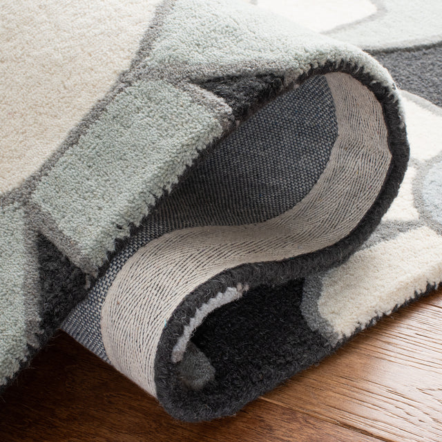 Safavieh Safavieh Kids Sfk923G Charcoal/Ivory Rugs.