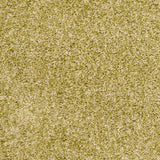 Safavieh Shag Sg151 Green Rug.