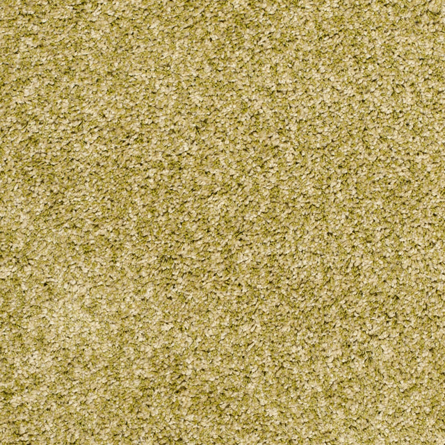 Safavieh Shag Sg151 Green Rug.