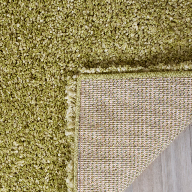 Safavieh Shag Sg151 Green Rug.