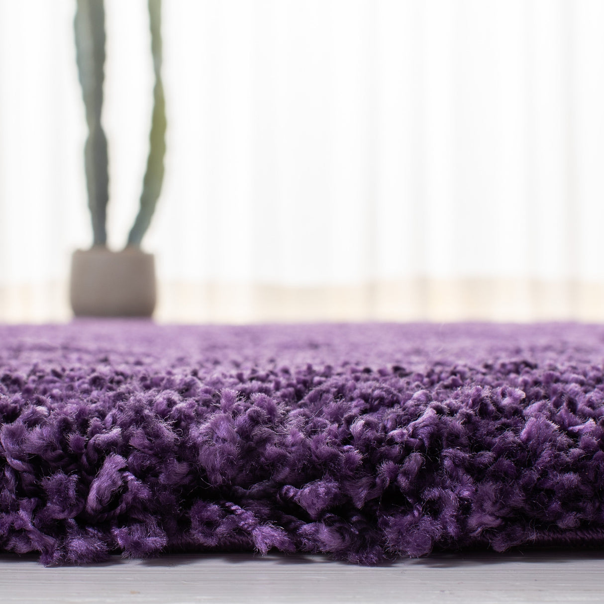 Safavieh Shag Sg180 Purple Rugs.