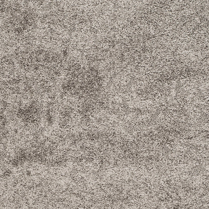 Safavieh Shag Sg460 Grey/Beige Area Rug