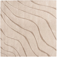 Safavieh Shag Sg472 Cream/Beige Area Rug