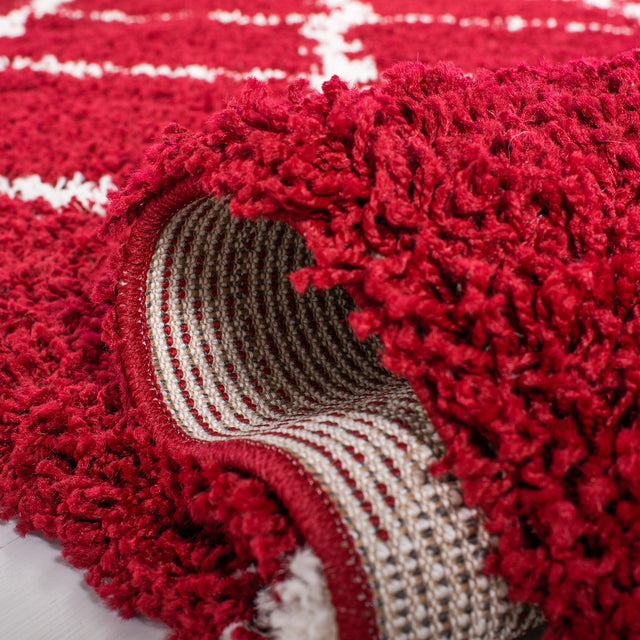 Safavieh Dallas Shag Sgd257Q Red/Ivory Rugs.