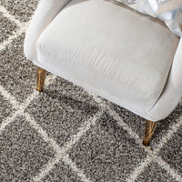 Safavieh Hudson Shag Sgh222F Grey/Ivory Area Rug