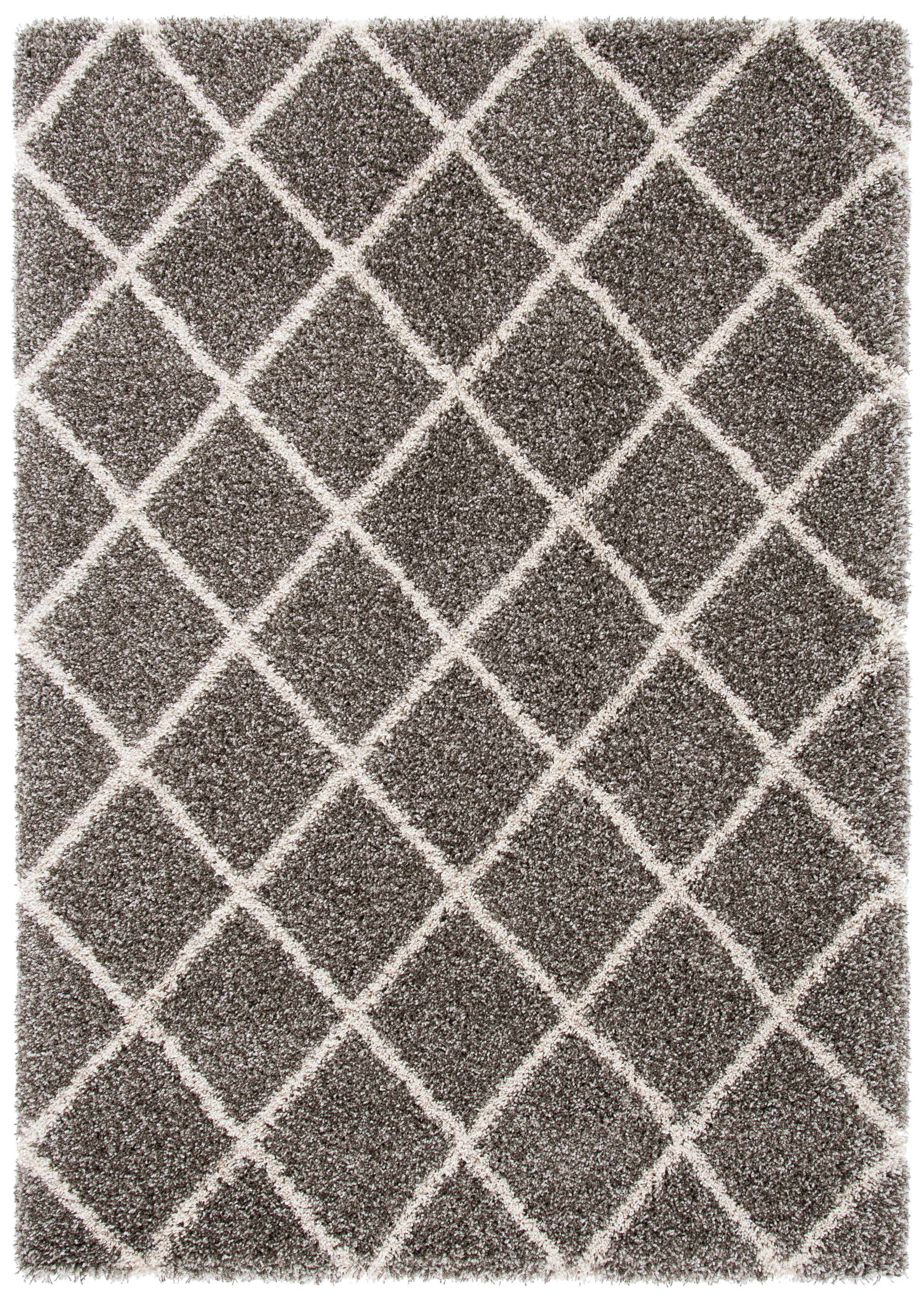 Safavieh Hudson Shag Sgh222F Grey/Ivory Area Rug