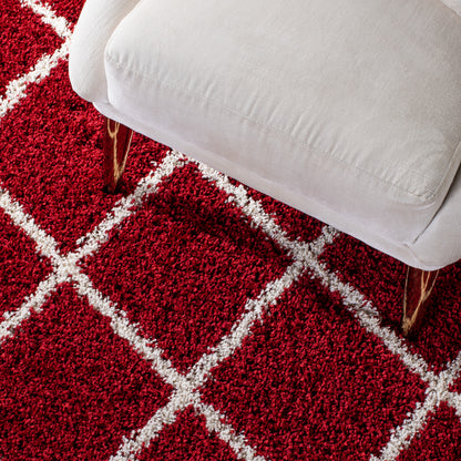 Safavieh Hudson Shag Sgh222Q Red/Ivory Area Rug