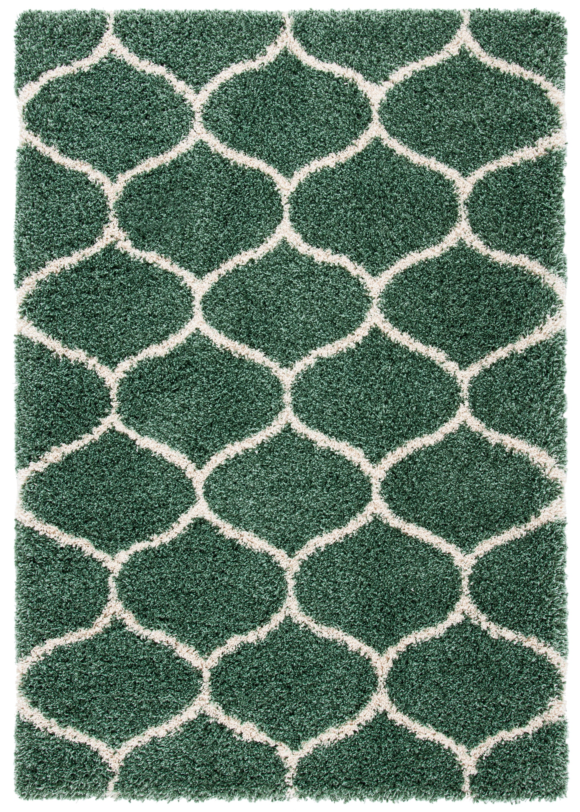 Safavieh Hudson Shag Sgh280X Light Green/Ivory Area Rug