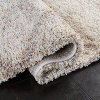 Safavieh Hudson Shag Sgh281H Multi Ivory/Beige Area Rug