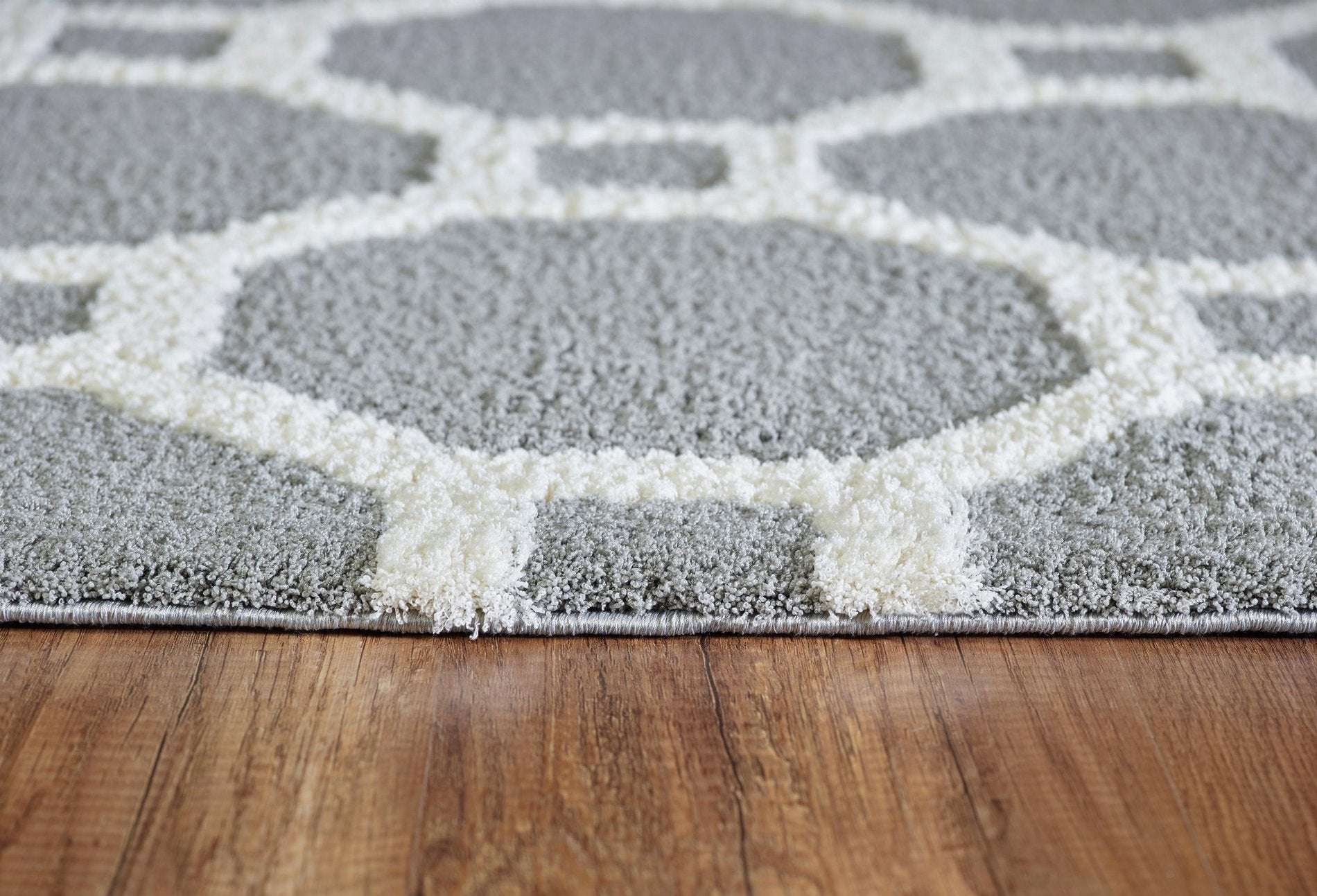 Dynamic Rugs Silky Shag 5903 White/Silver Area Rug