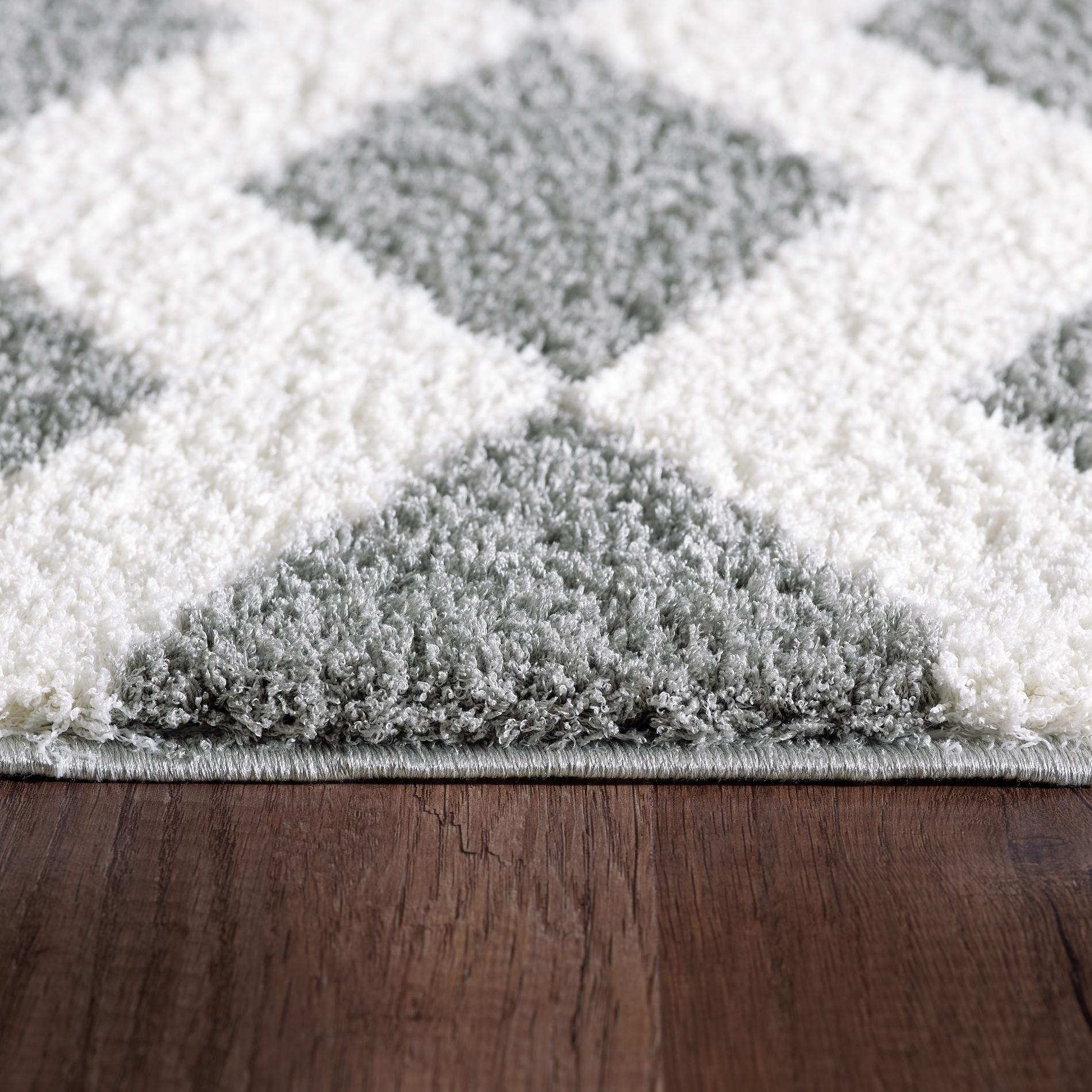 Dynamic Rugs Silky Shag 5904 White/Silver Area Rug