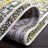 Safavieh Skyler Sky101Y Green/Ivory Rugs.