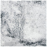 Safavieh Skyler Sky163F Silver/Black Rugs.