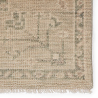 Jaipur Salinas Ginerva Sln16 Cream/Green Area Rug