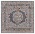 Safavieh Sierra Sra400A Ivory/Grey Rug.