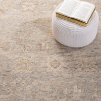 Safavieh Samarkand Srk112F Light Grey/Beige Area Rug