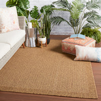 Jaipur Tahiti Maeva Tah03 Light Brown/N/A Area Rug