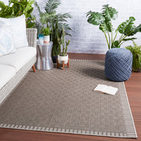 Jaipur Tahiti Iti Tah10 Taupe/Gray Area Rug