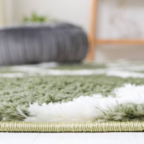 Safavieh Tahoe Shag Tho675W Sage/White Rug.