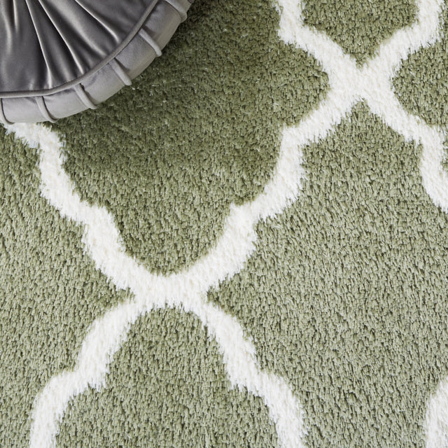 Safavieh Tahoe Shag Tho675W Sage/White Rug.