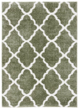 Safavieh Tahoe Shag Tho675W Sage/White Rug.