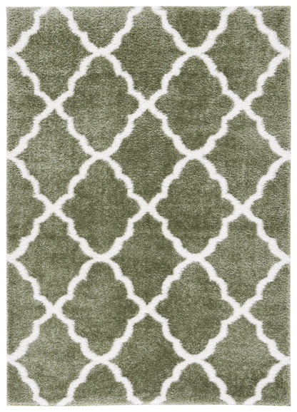 Safavieh Tahoe Shag Tho675W Sage/White Area Rug