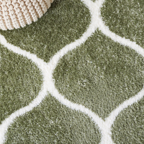 Safavieh Tahoe Shag Tho677W Sage/White Rug.