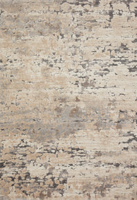Loloi Theory Thy-08 Taupe/Grey Area Rug