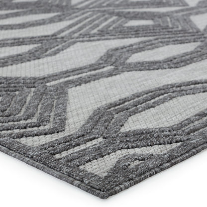 Jaipur Tajiri By Nikki Chu Adana Tnc05 Dark Gray/Silver Area Rug