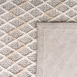 Safavieh Trace Trc209A Ivory/Black Rugs.