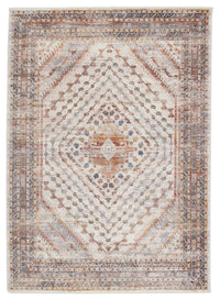 Jaipur Terra Canna Trr12 Multicolor/Light Gray Area Rug