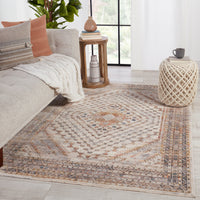 Jaipur Terra Canna Trr12 Multicolor/Light Gray Area Rug