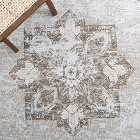 Safavieh Tucson Tsn102W Sage/Ivory Area Rug