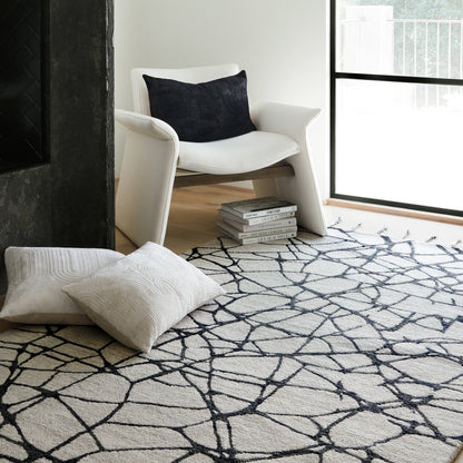 Jaipur Vera By Nikki Chu Raska Vnk09 Gray Area Rug