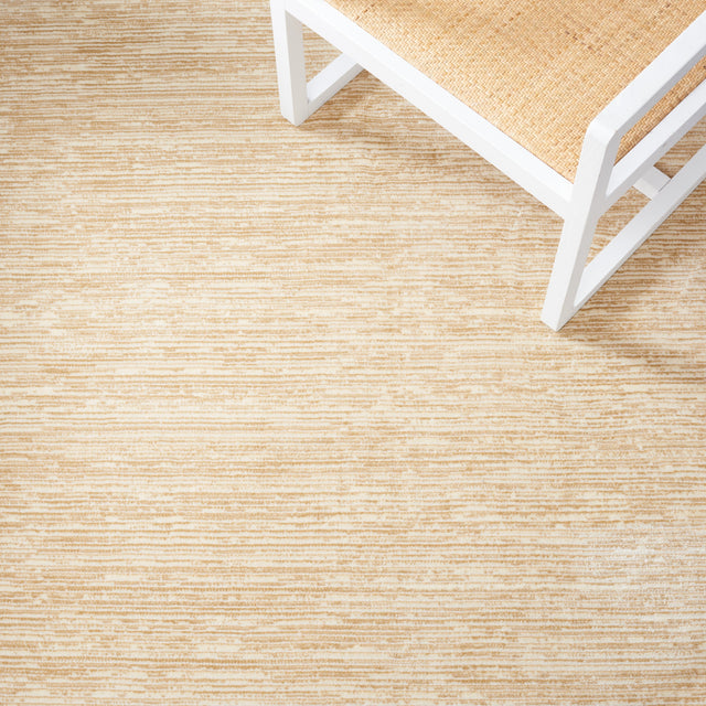 Safavieh Vision Vsn606H Beige Rugs.