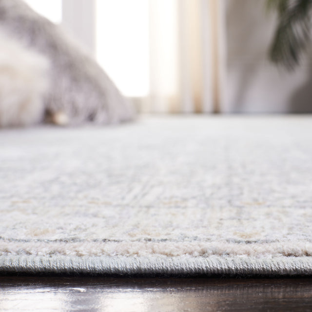 Safavieh Webster Wbs334G Grey/Beige Rugs.