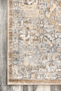 Nuloom Vintage Thea Nvi2470A Beige Area Rug