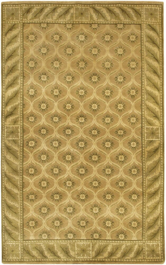 Chandra Aadi Aad1412 Green / Tan / Gold / Beige / Light Brown Area Rug