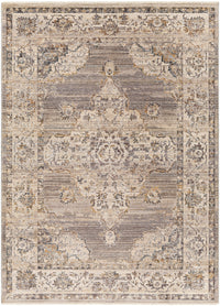 Surya Aida Aad-2301 Brown Area Rug